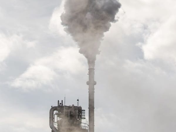 The Cancerous DNA of Air Pollution: Explained