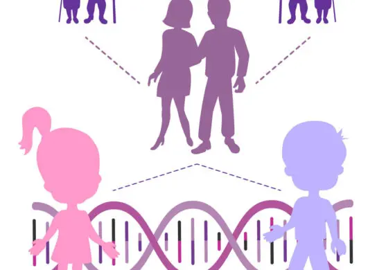 Find Out Your Risk of Inheriting Cancer & Ways to Prevent it